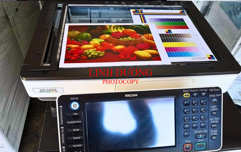 Chọn thuê máy photocopy màu Ricoh MP C3503 hay MP C4503?